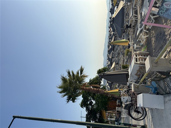 IMG 9926